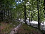 Planina Polog - Vrh Planje